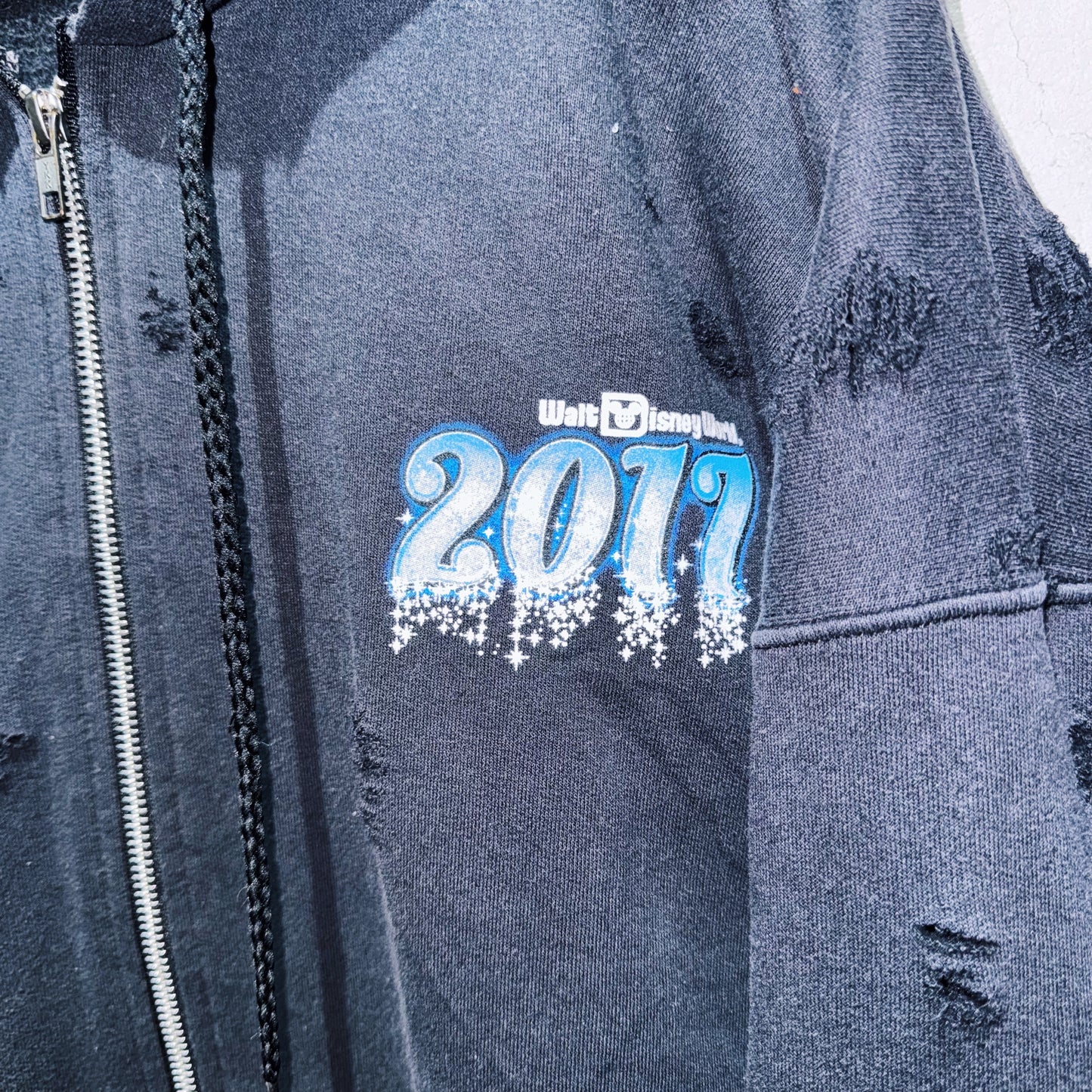 "Disney"WDW 2017 graphic design boro custom hoodie