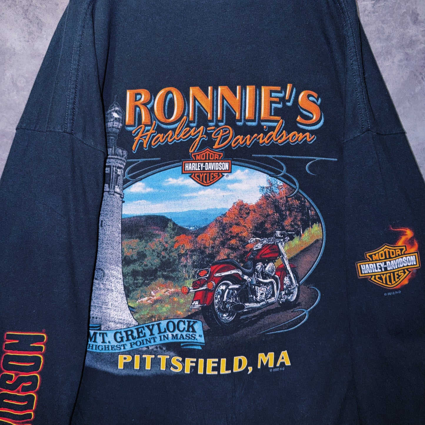 【doppio】00’s vintage “Harley-Davidson” graphic print design long sleeve T-shirt