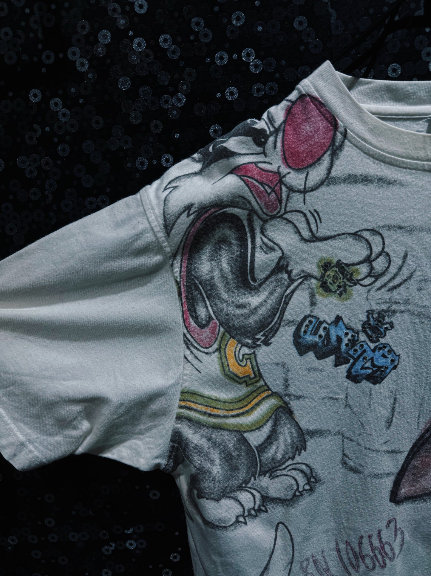 【ÆIEM】LOT29 Sylvester Big Print T-shirt