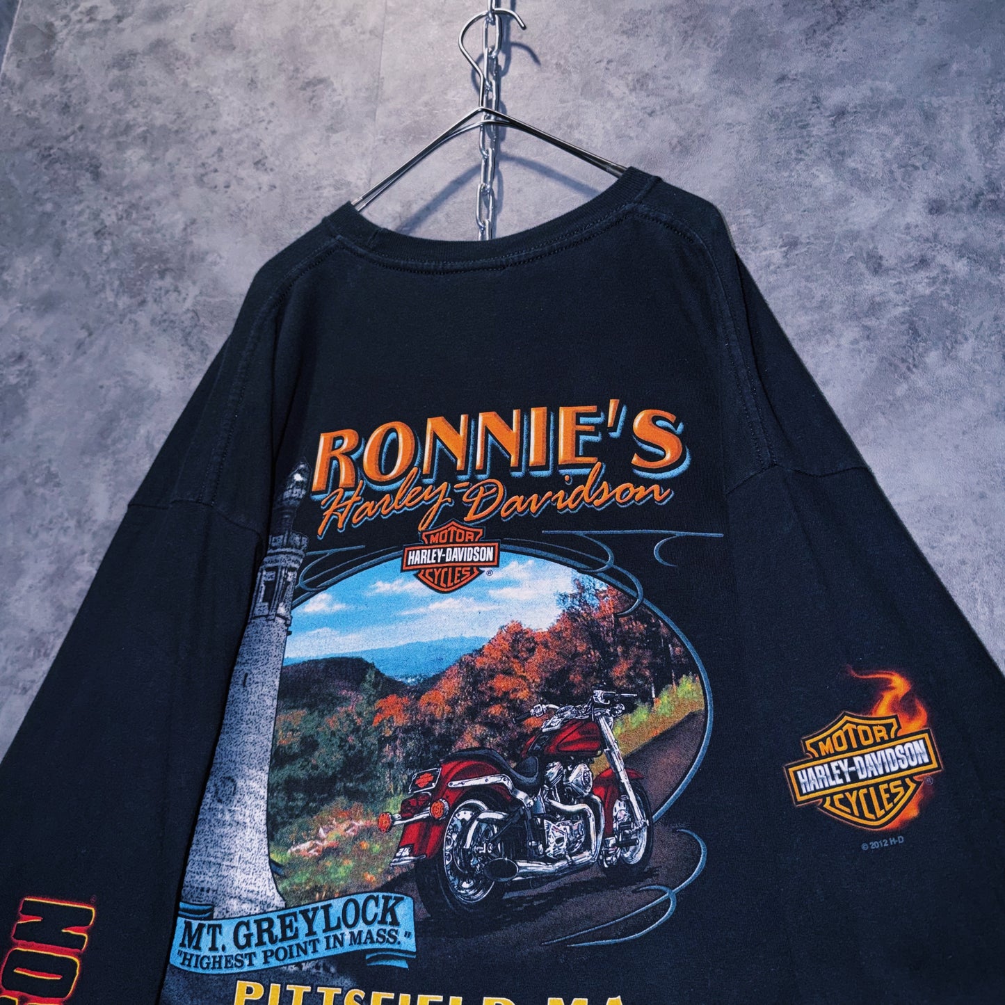 【doppio】00’s vintage “Harley-Davidson” graphic print design long sleeve T-shirt