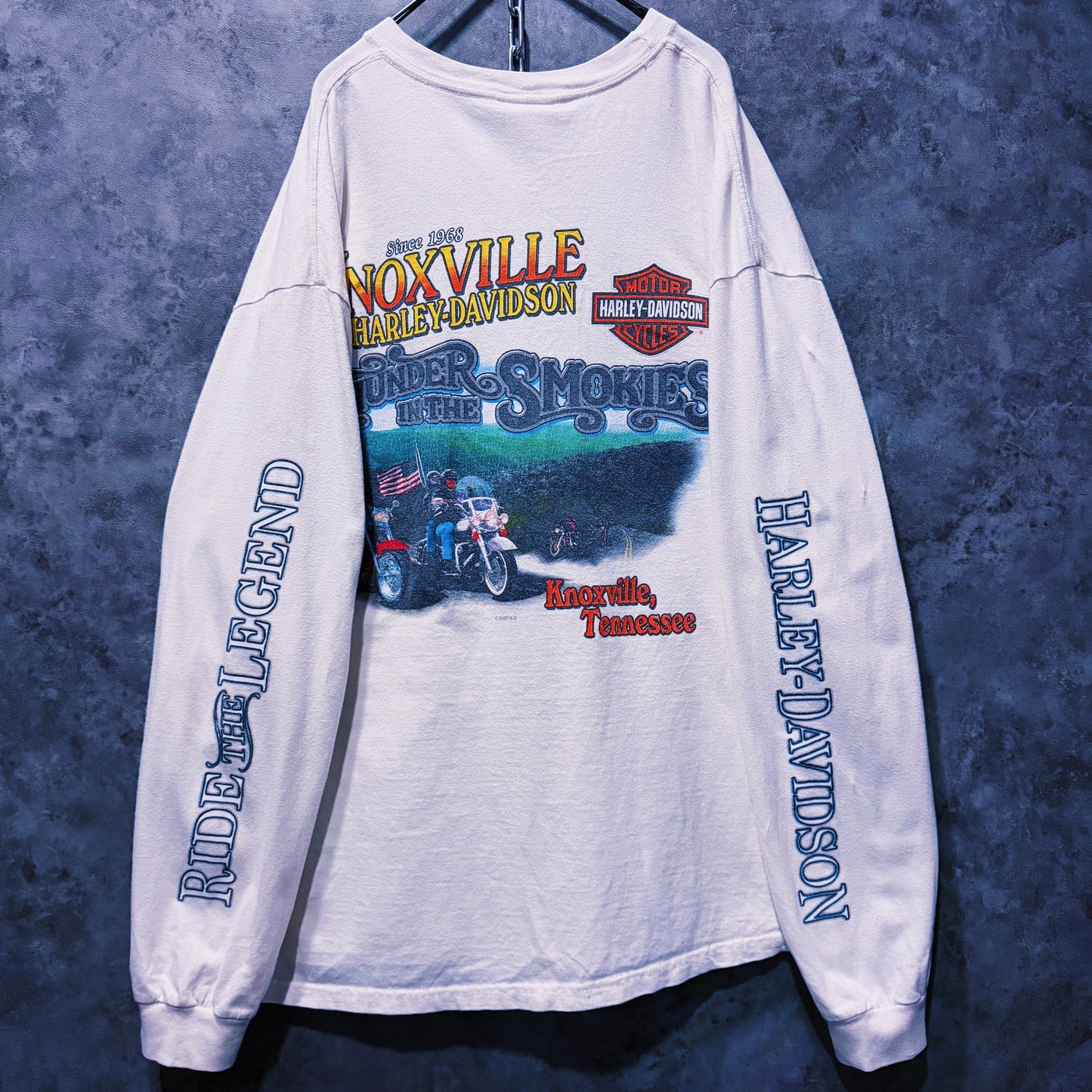 【doppio】vintage “Harley-Davidson” hot girl print design long sleeve T-shirt