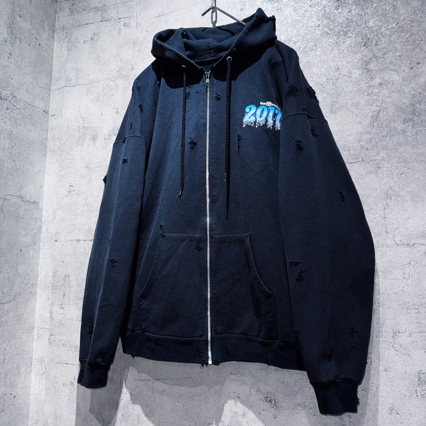 "Disney"WDW 2017 graphic design boro custom hoodie