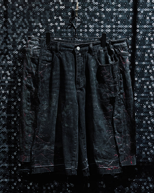 【ÆIEM】vivid notes IRON VEIN hurf pants
