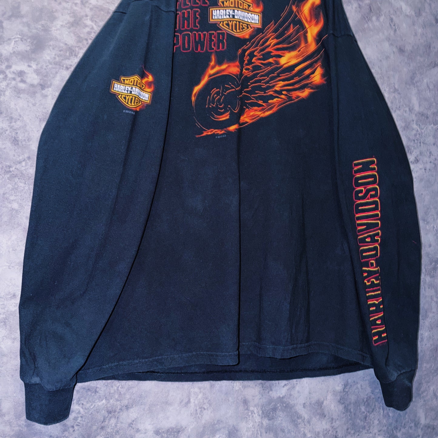【doppio】00’s vintage “Harley-Davidson” graphic print design long sleeve T-shirt