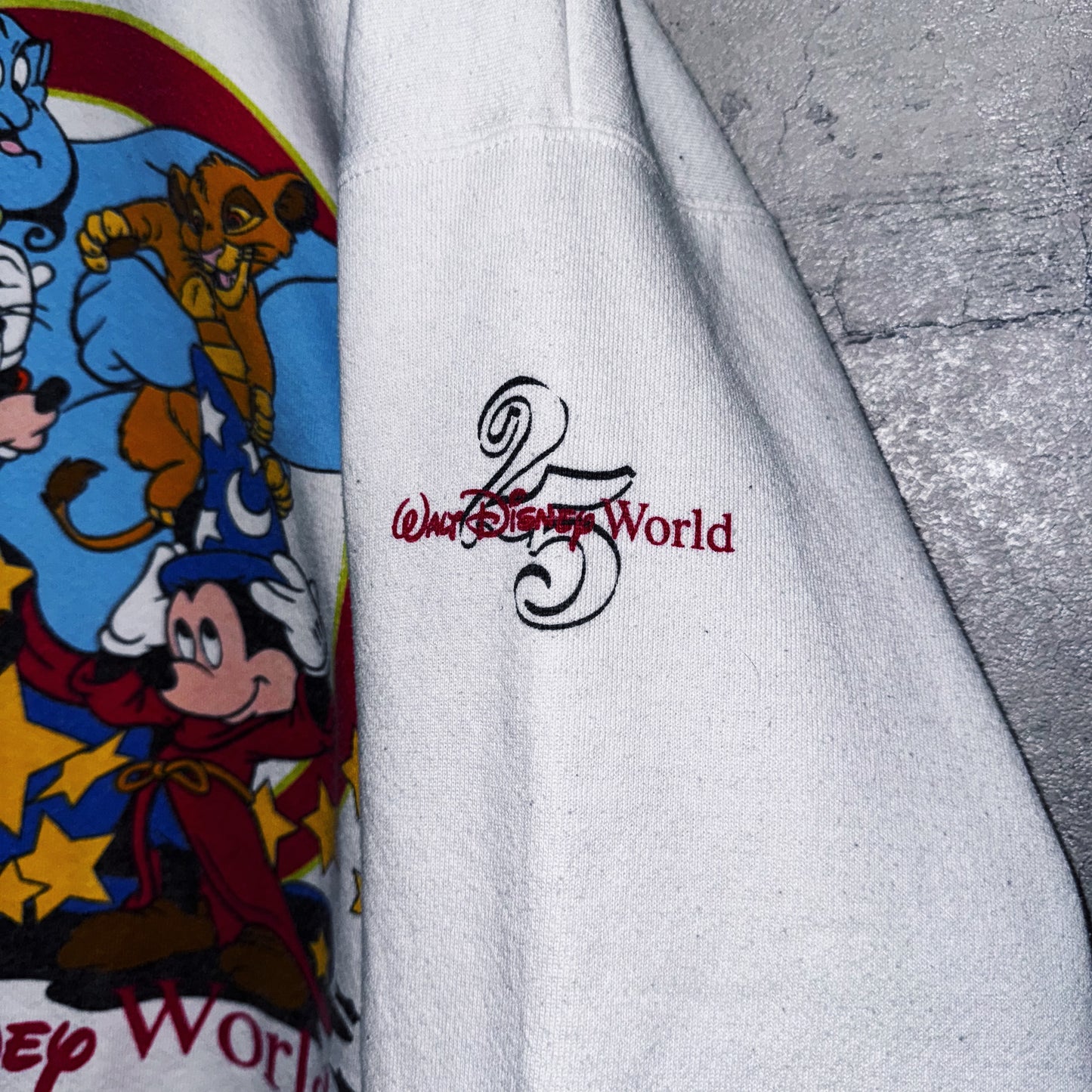 90's"Disney"WDW 25anniversary design characters pullover  sweat