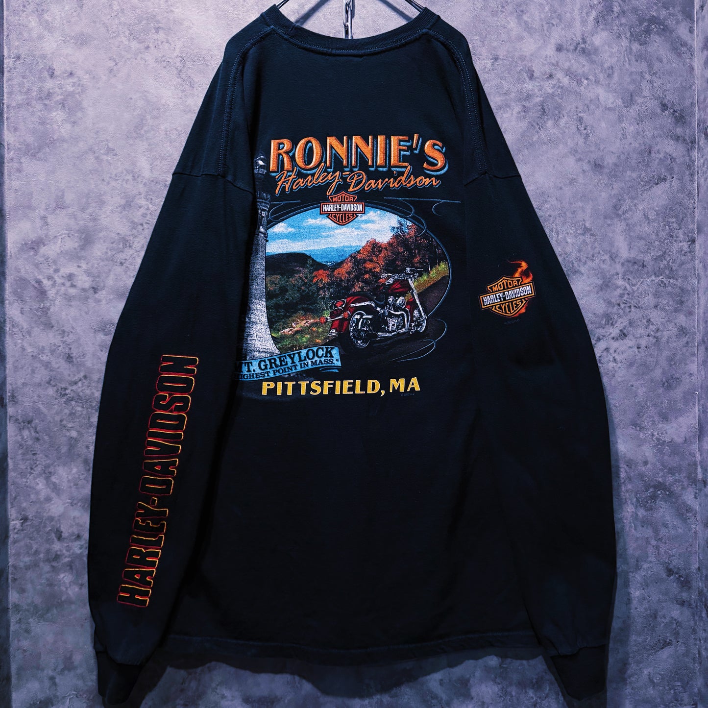 【doppio】00’s vintage “Harley-Davidson” graphic print design long sleeve T-shirt