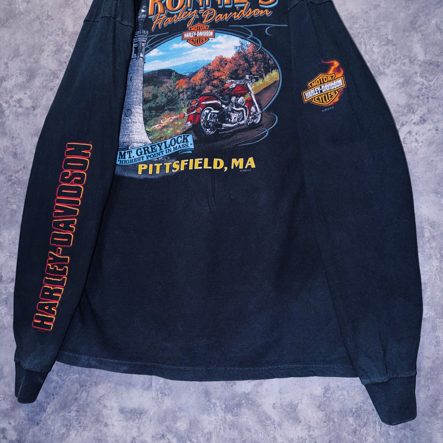 【doppio】00’s vintage “Harley-Davidson” graphic print design long sleeve T-shirt